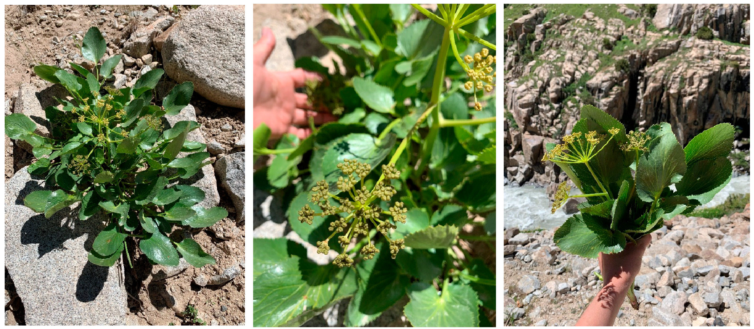 Applsci 13 12042 g001