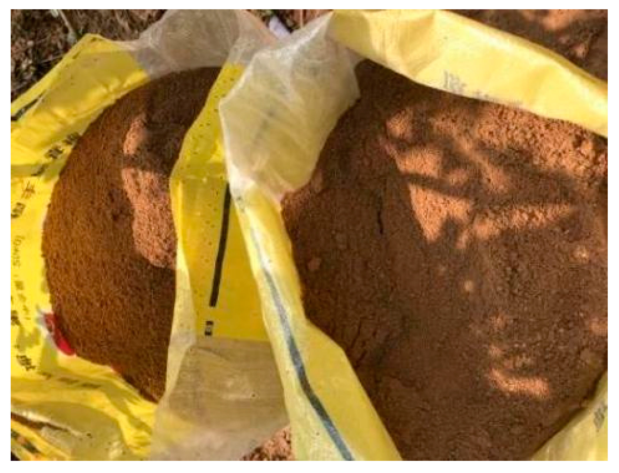 Applsci 13 12066 g005