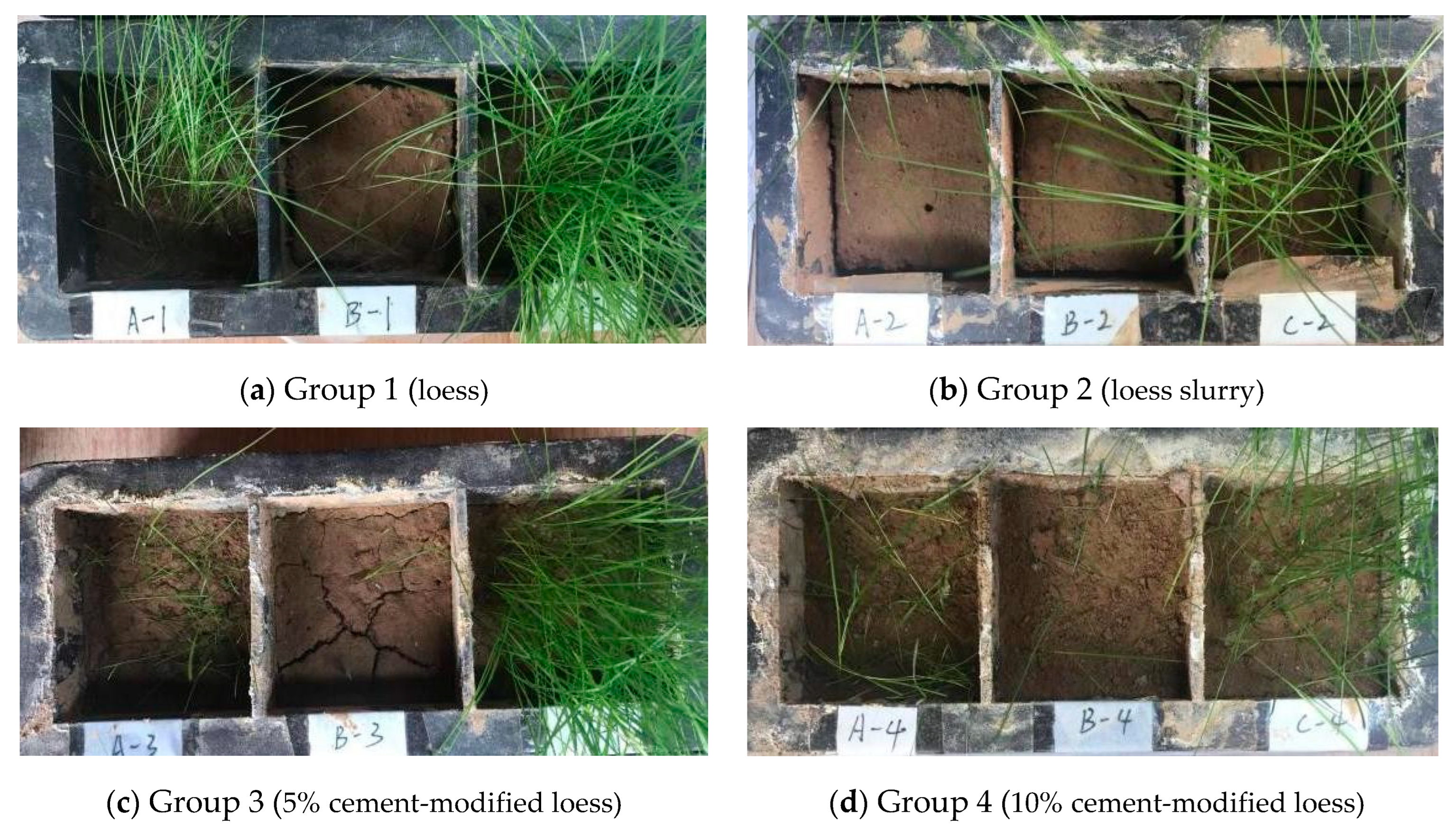 Applsci 13 12066 g011