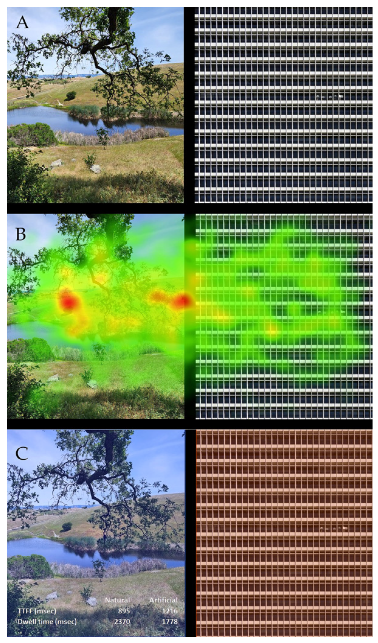 Applsci 13 12071 g006