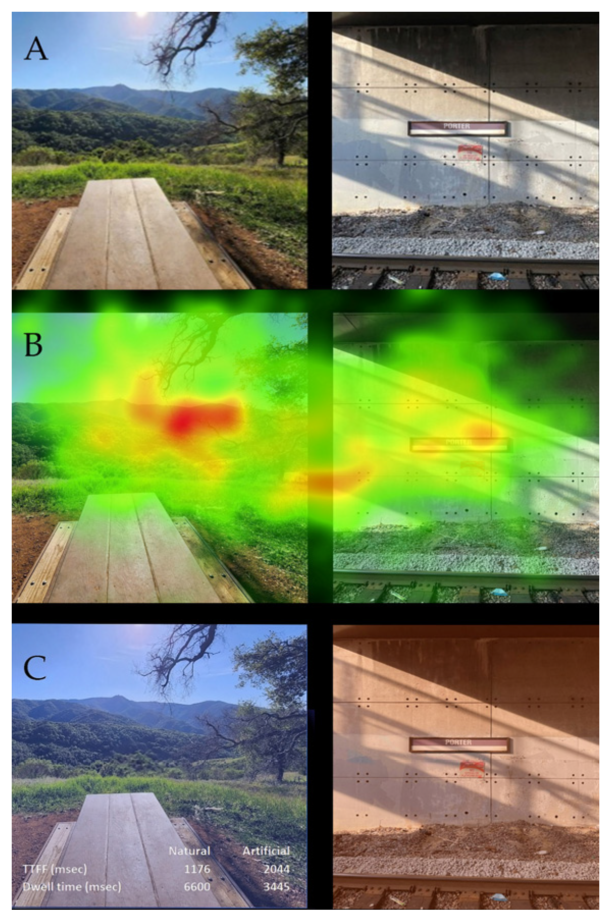 Applsci 13 12071 g013