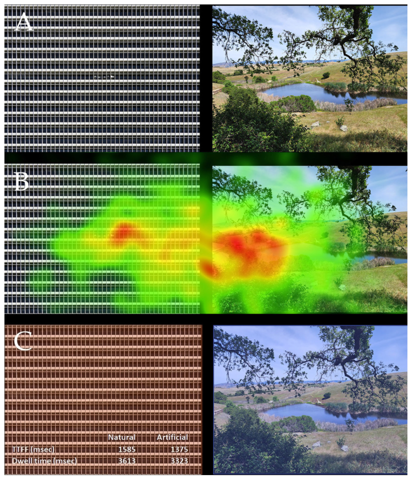 Applsci 13 12071 g020