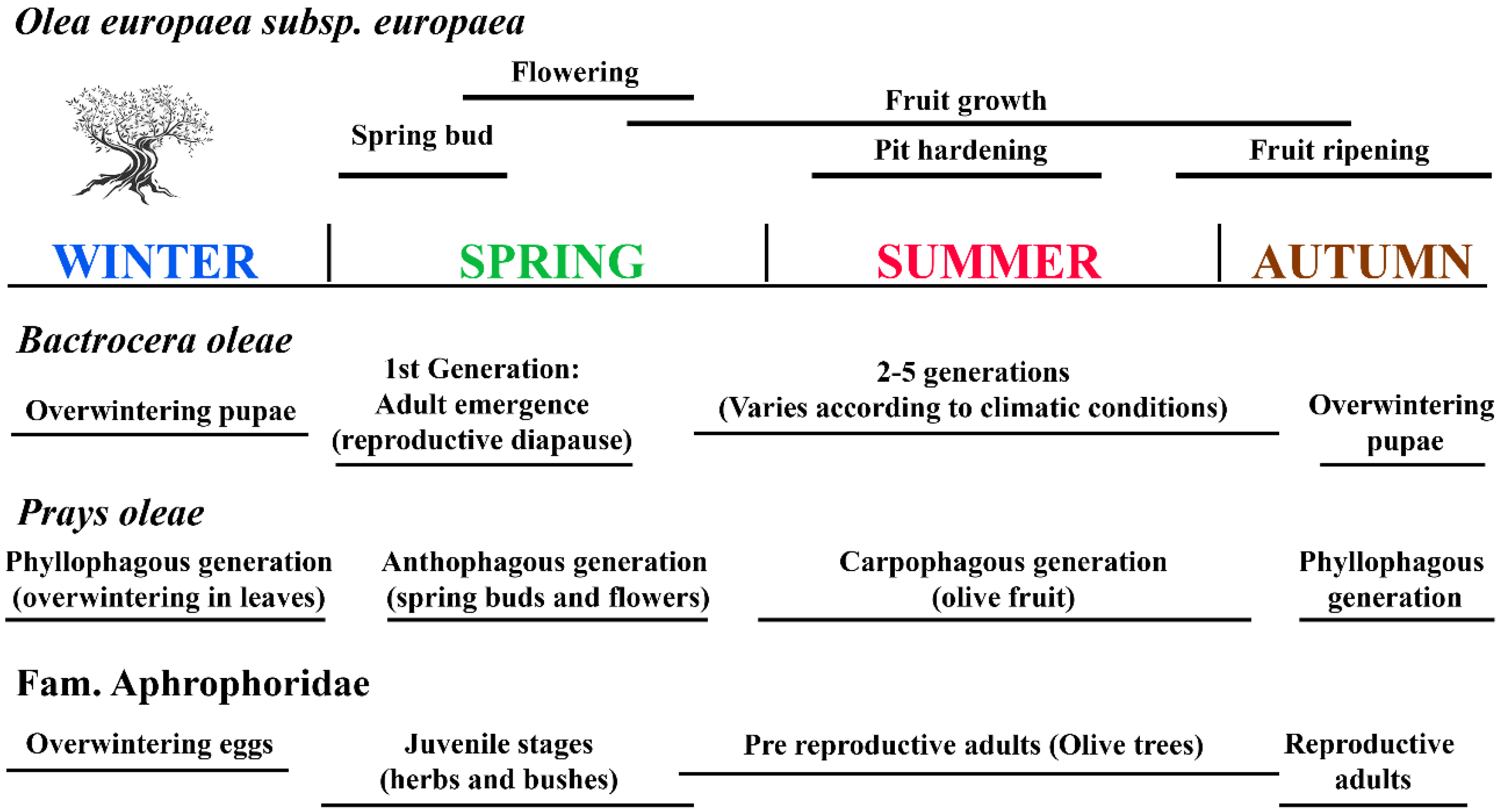 Applsci 13 12078 g002
