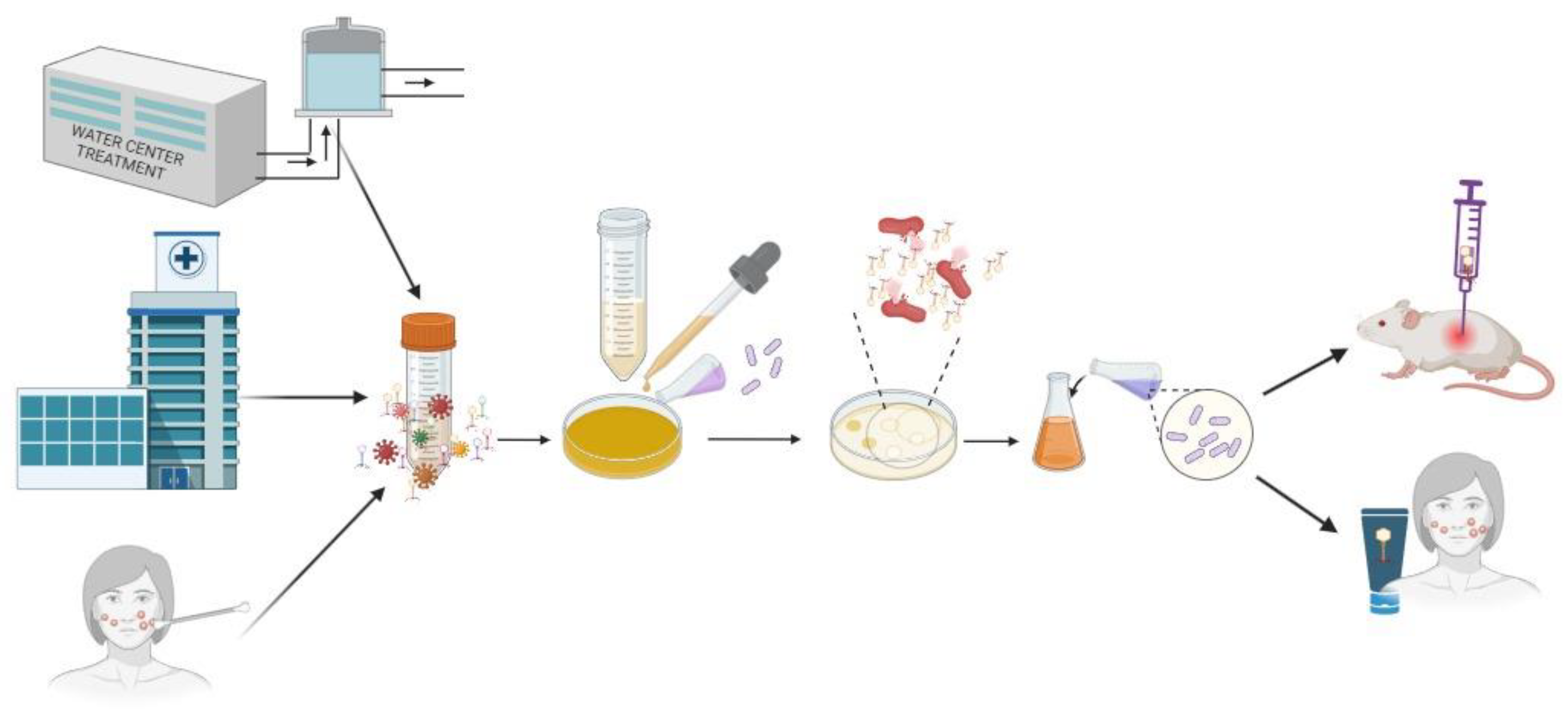 Applsci 13 12086 g002