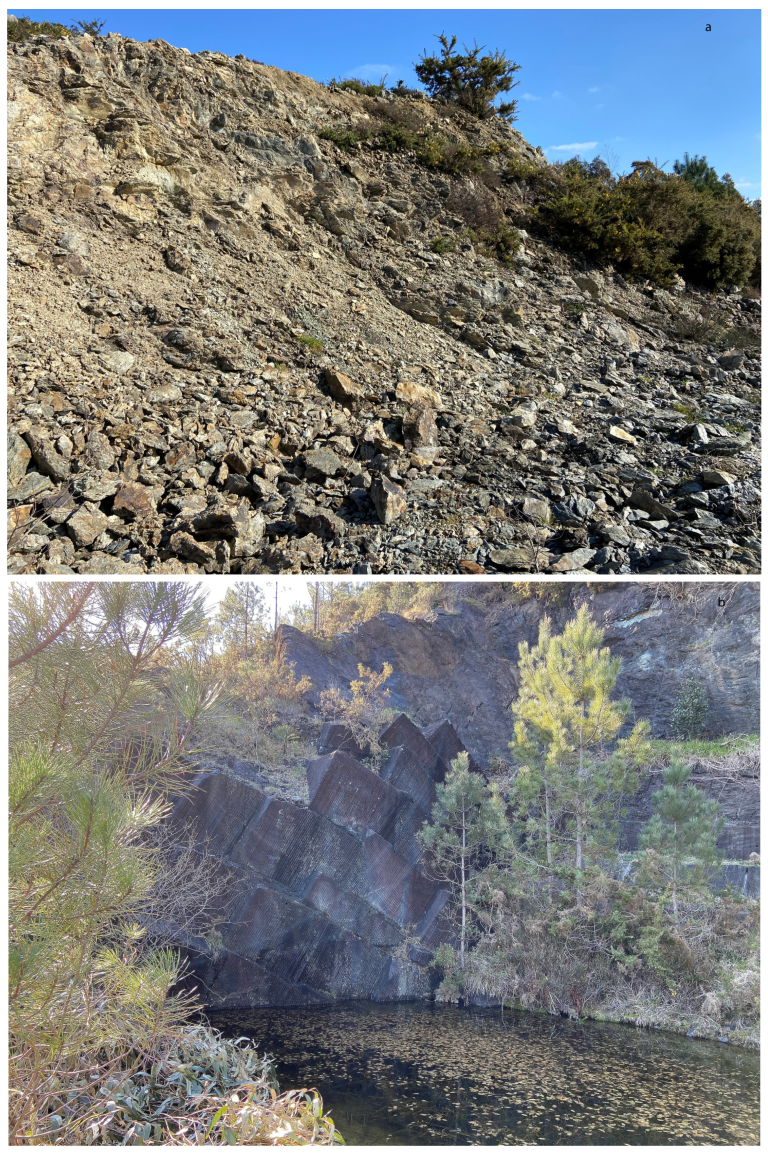 Applsci 13 12183 g002