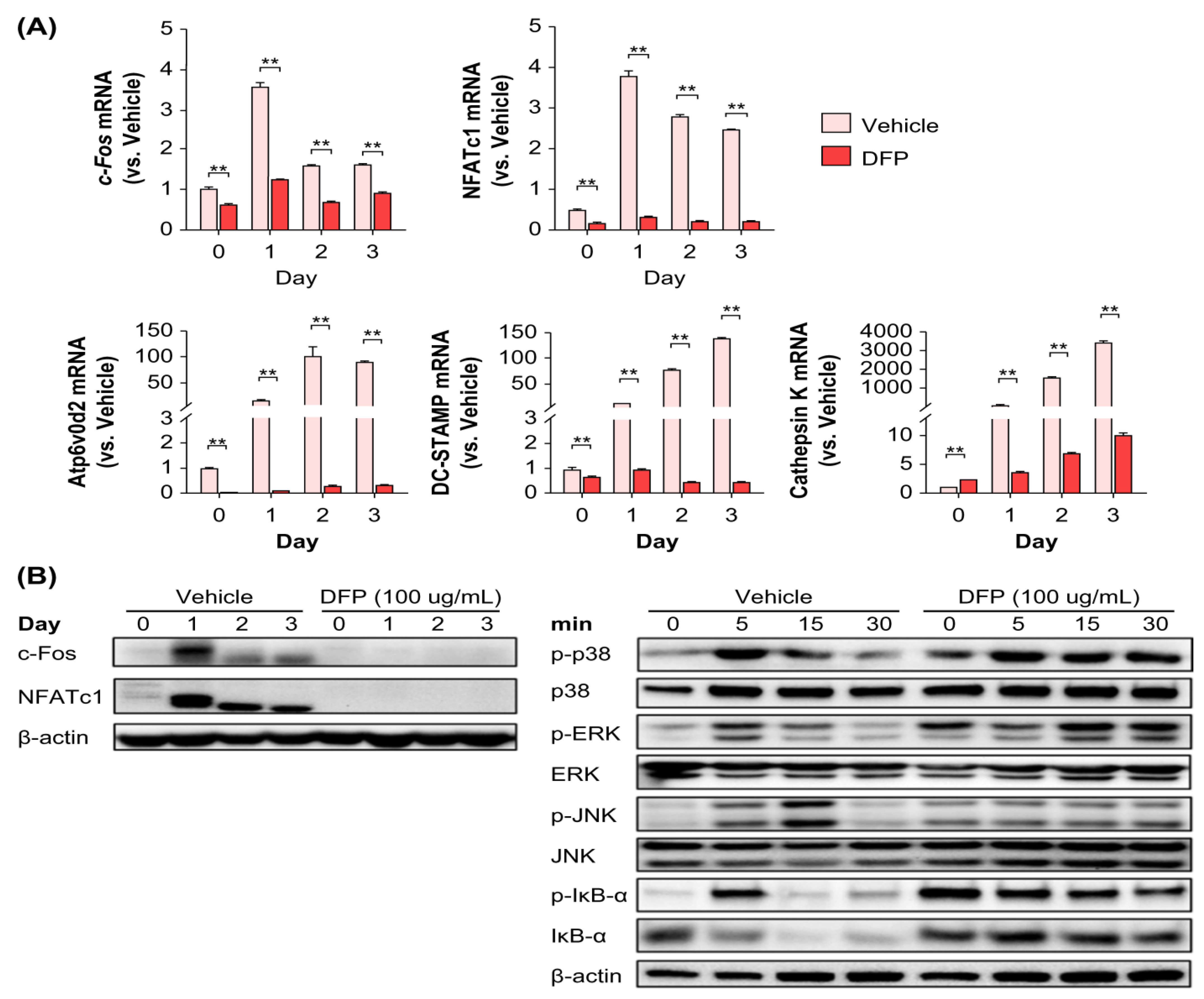Applsci 13 12201 g004