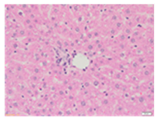 Applsci 13 12216 i001