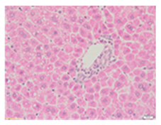 Applsci 13 12216 i002