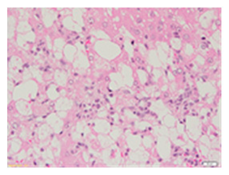 Applsci 13 12216 i003