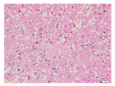 Applsci 13 12216 i004