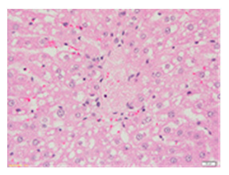 Applsci 13 12216 i005