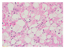 Applsci 13 12216 i006