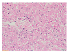 Applsci 13 12216 i007