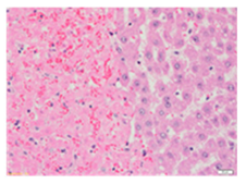 Applsci 13 12216 i008