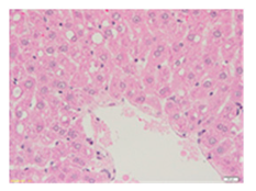 Applsci 13 12216 i009