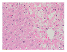 Applsci 13 12216 i010