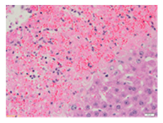 Applsci 13 12216 i011