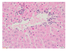 Applsci 13 12216 i012