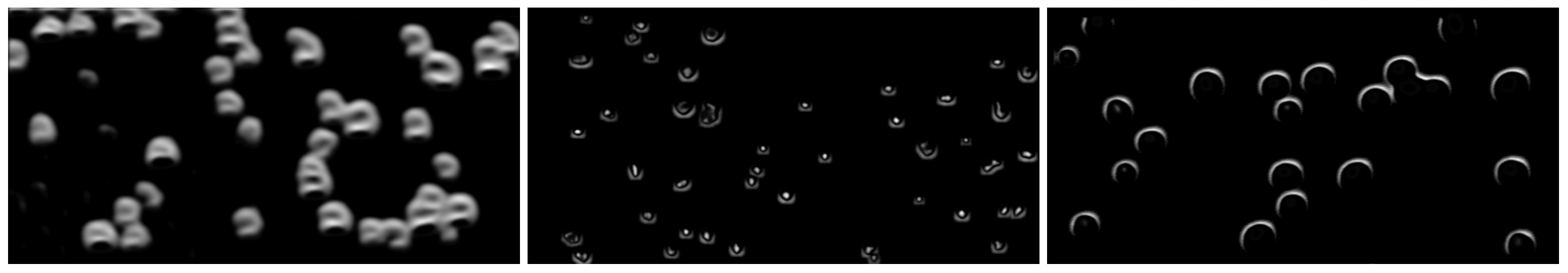 Applsci 13 12219 g009