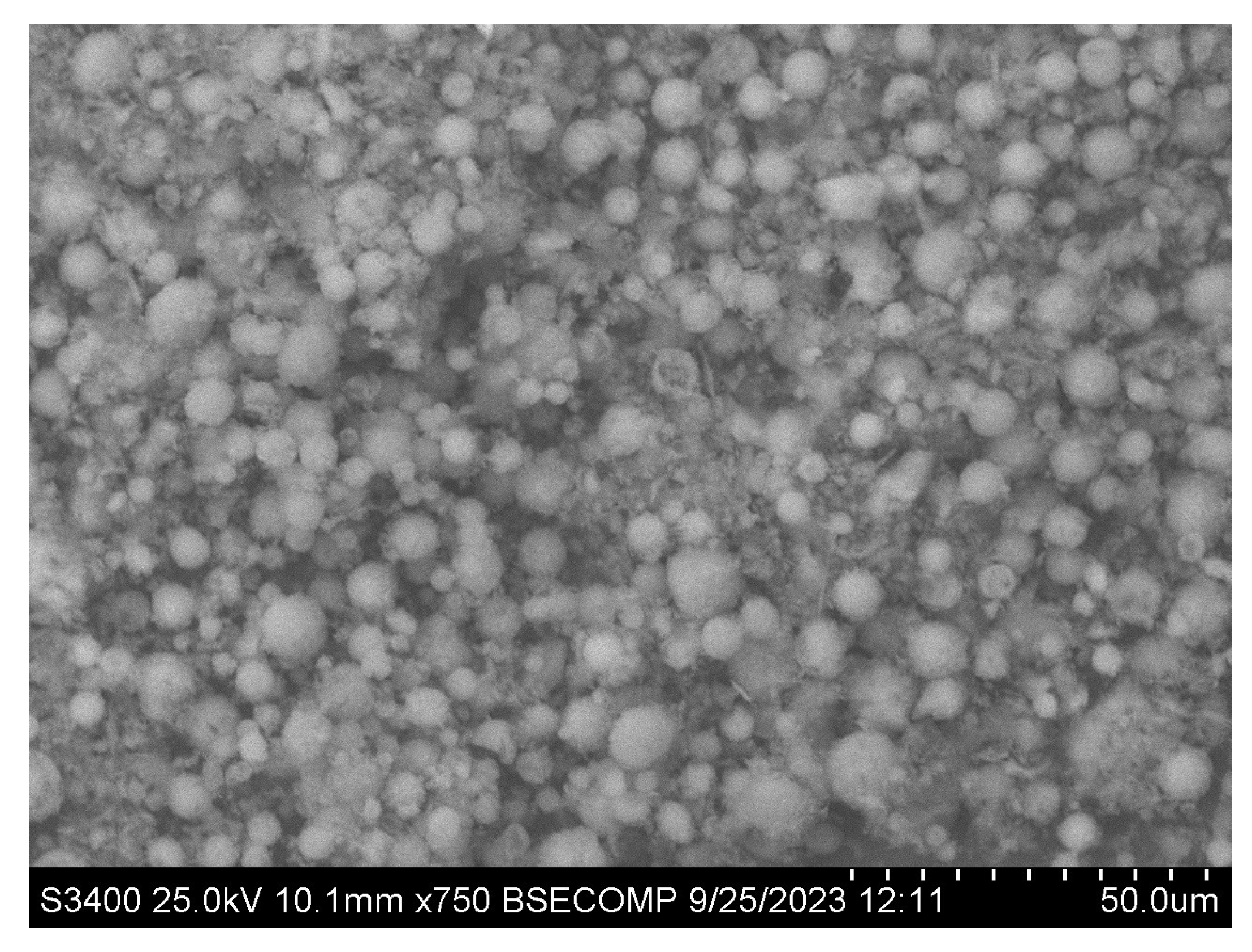 Applsci 13 12240 g007 Applsci 13 12240 g007