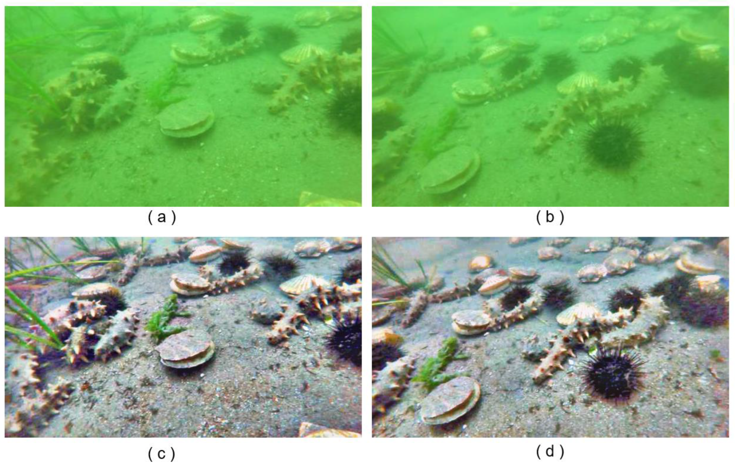 Applsci 13 12251 g002