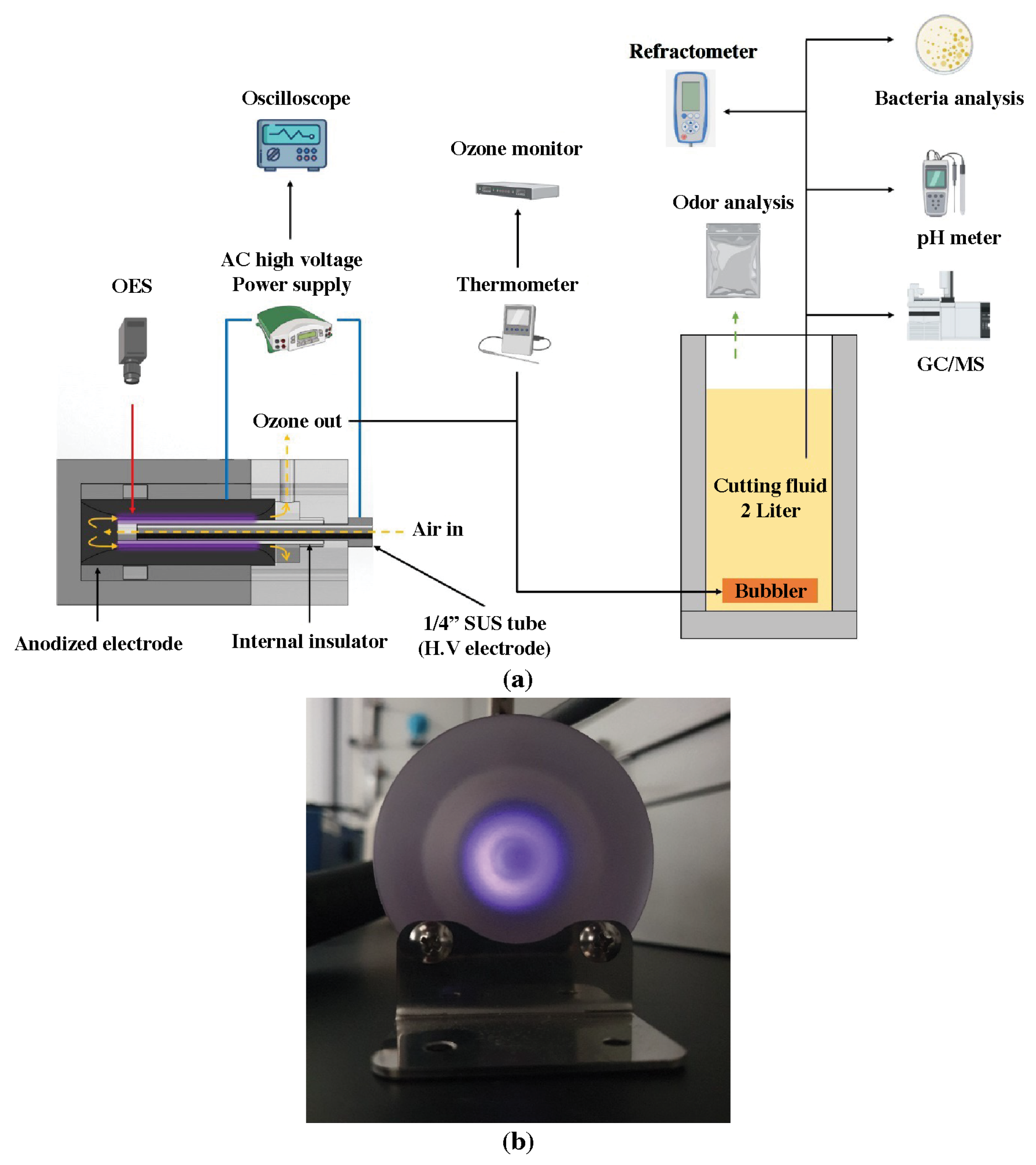Applsci 13 12302 g001