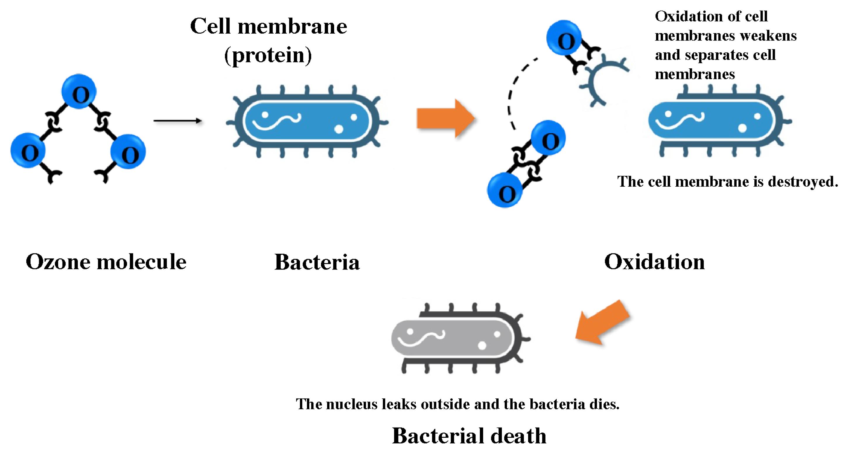 Applsci 13 12302 g007