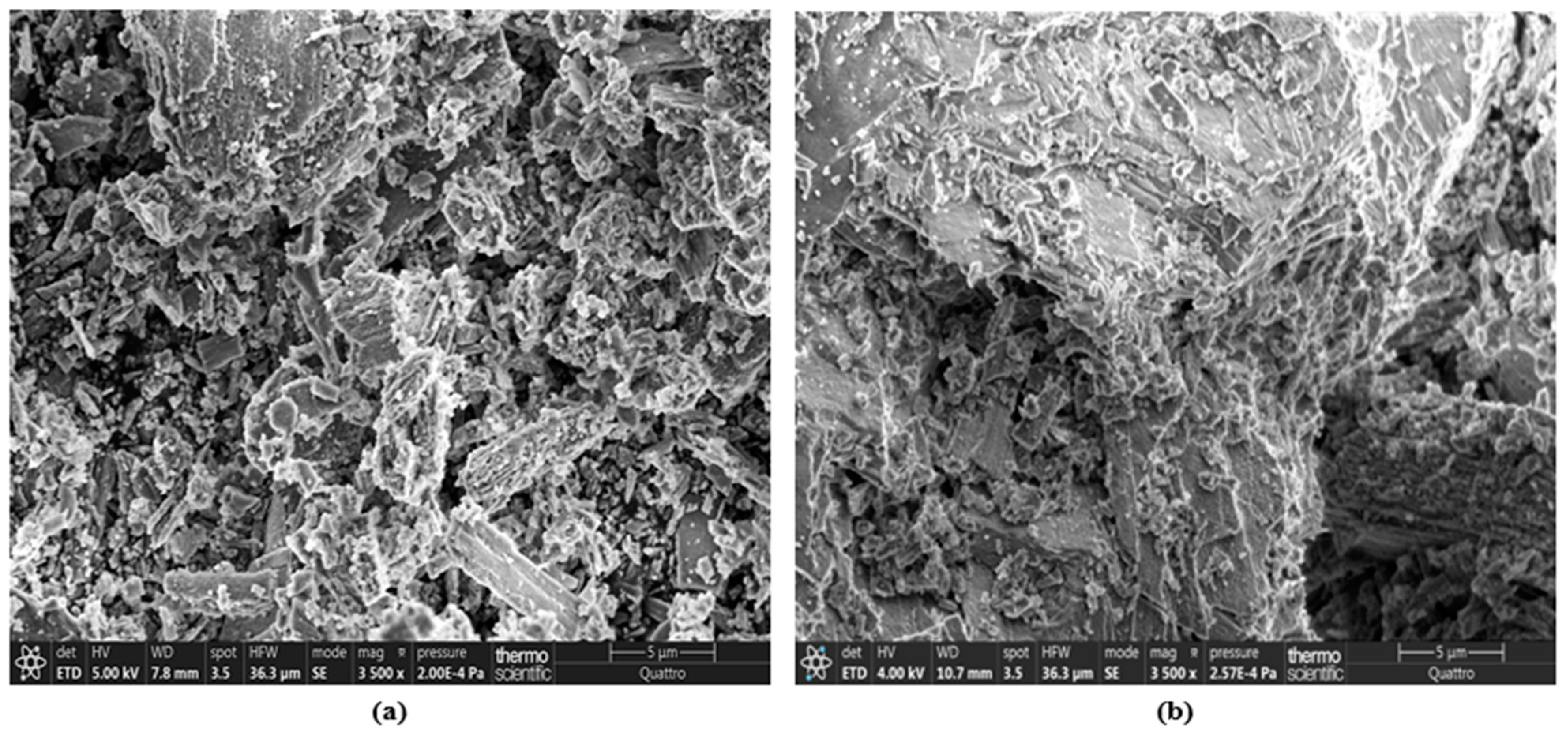 Applsci 13 12333 g006 Applsci 13 12333 g006