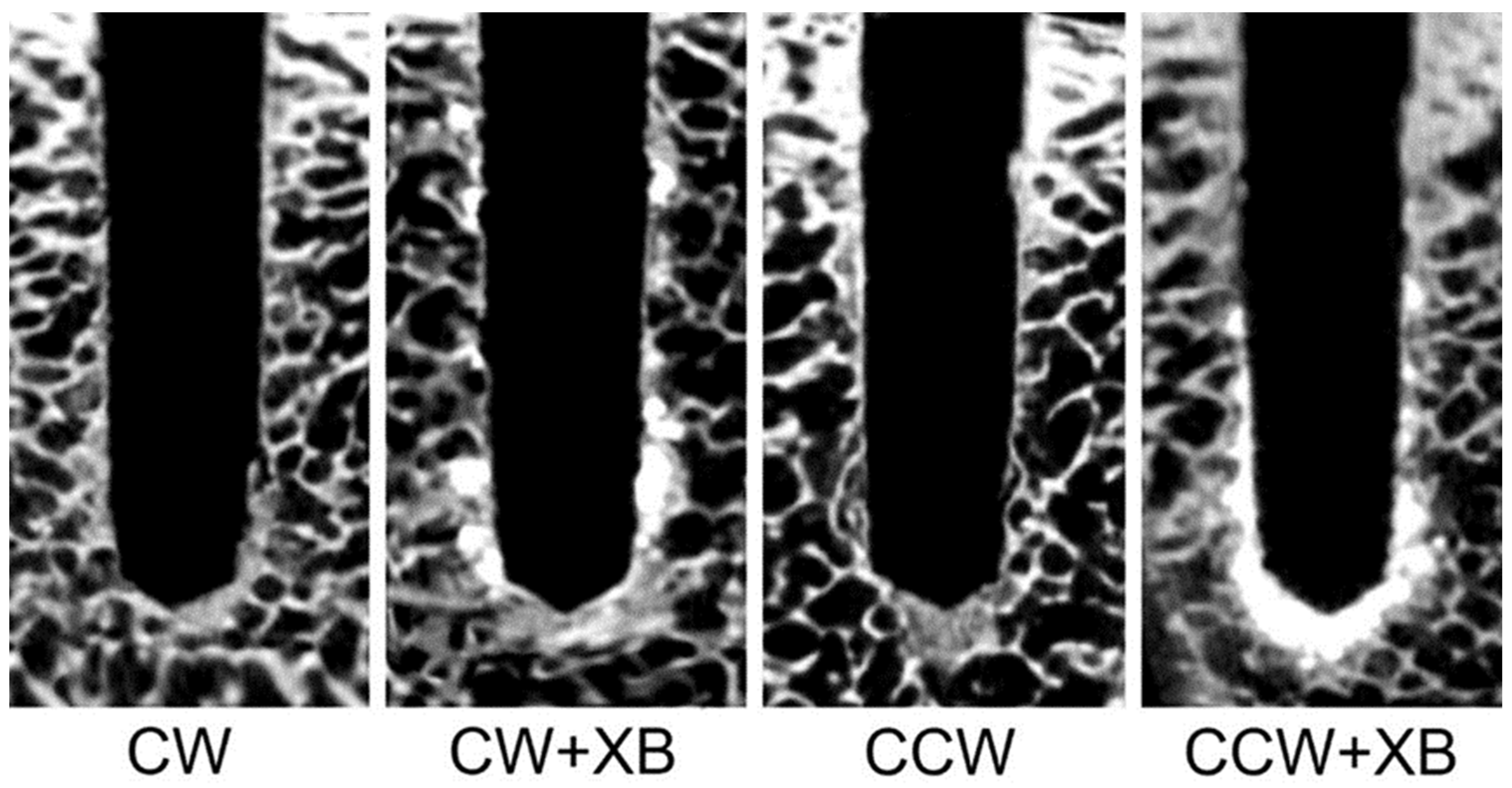 Applsci 13 12337 g003