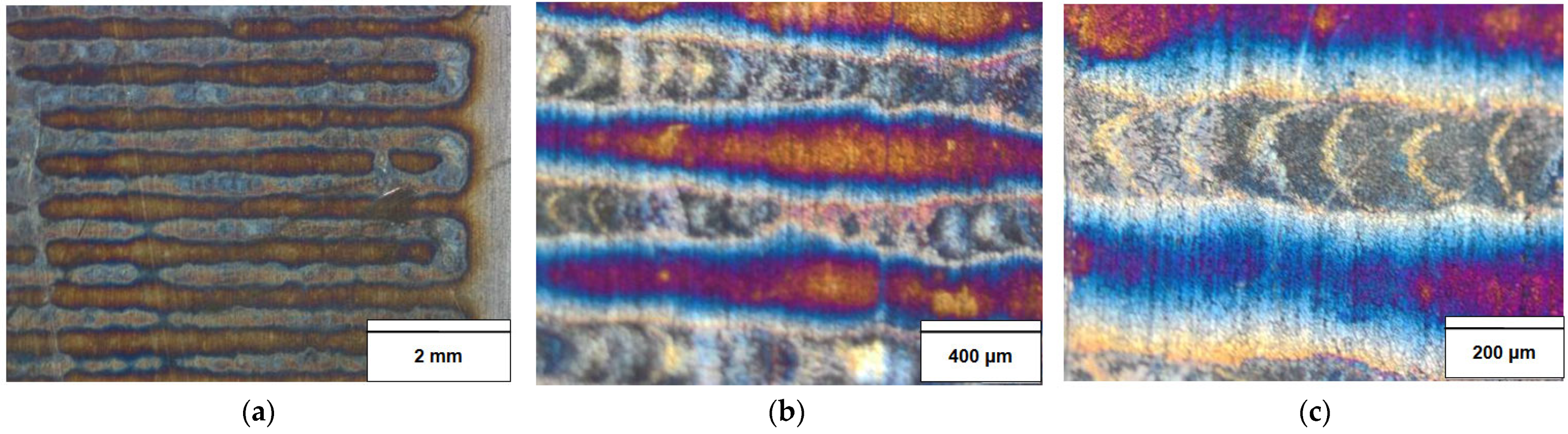 Applsci 13 12352 g003