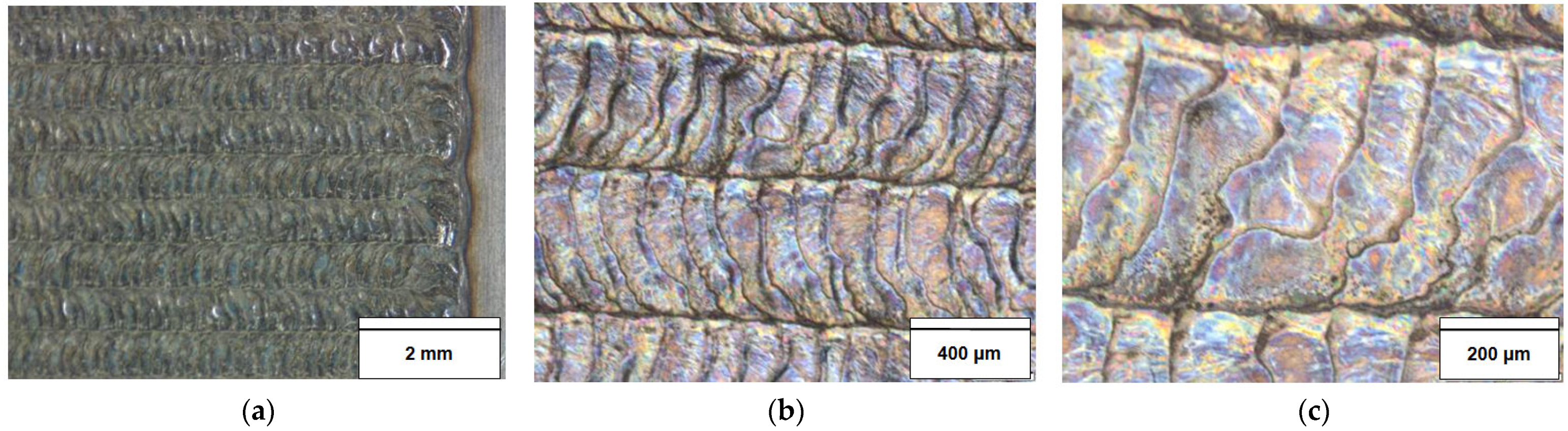 Applsci 13 12352 g004