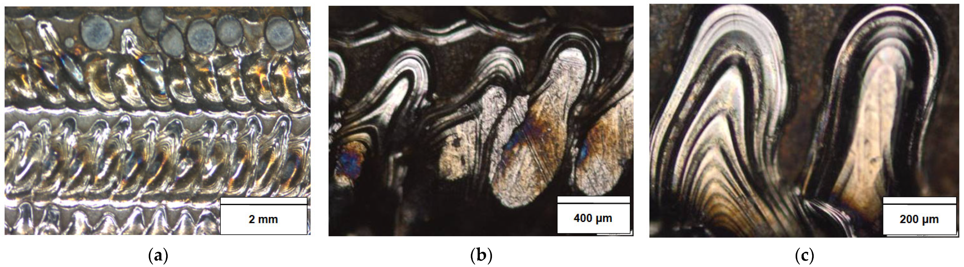 Applsci 13 12352 g009