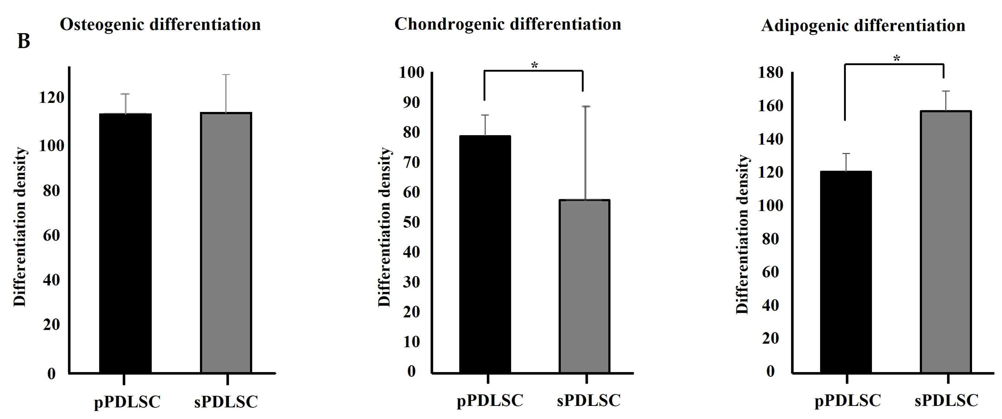 Applsci 13 12440 g004b