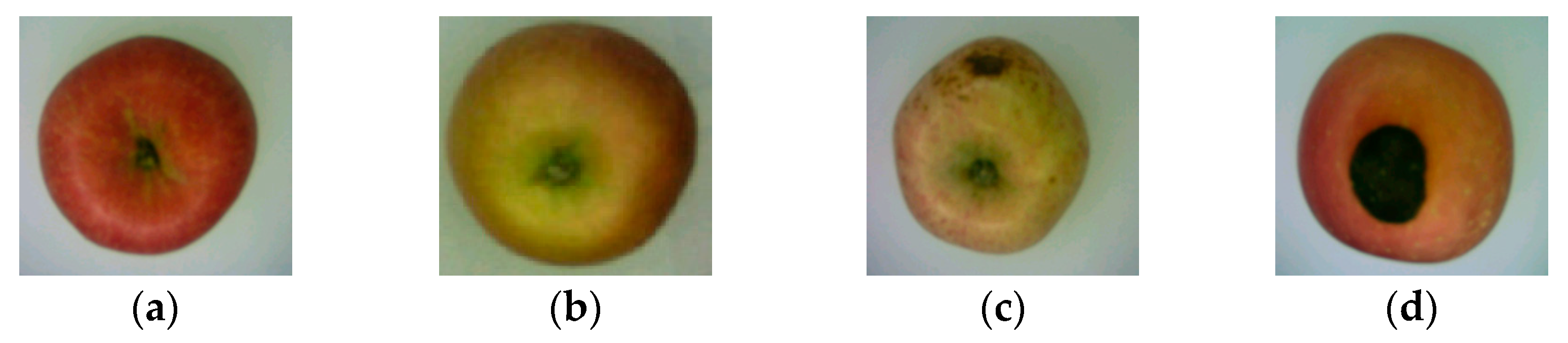 Applsci 13 12481 g001