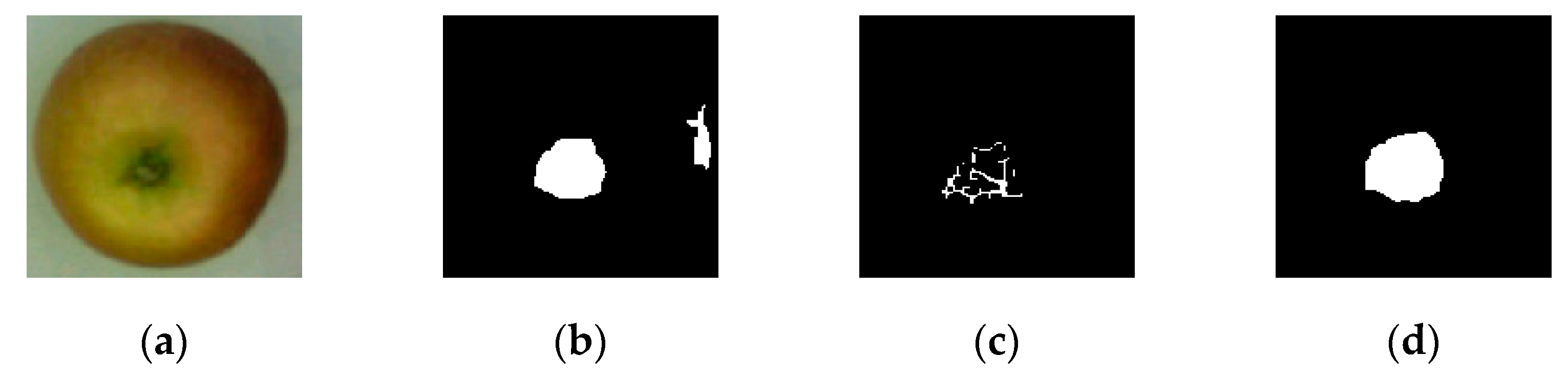 Applsci 13 12481 g012