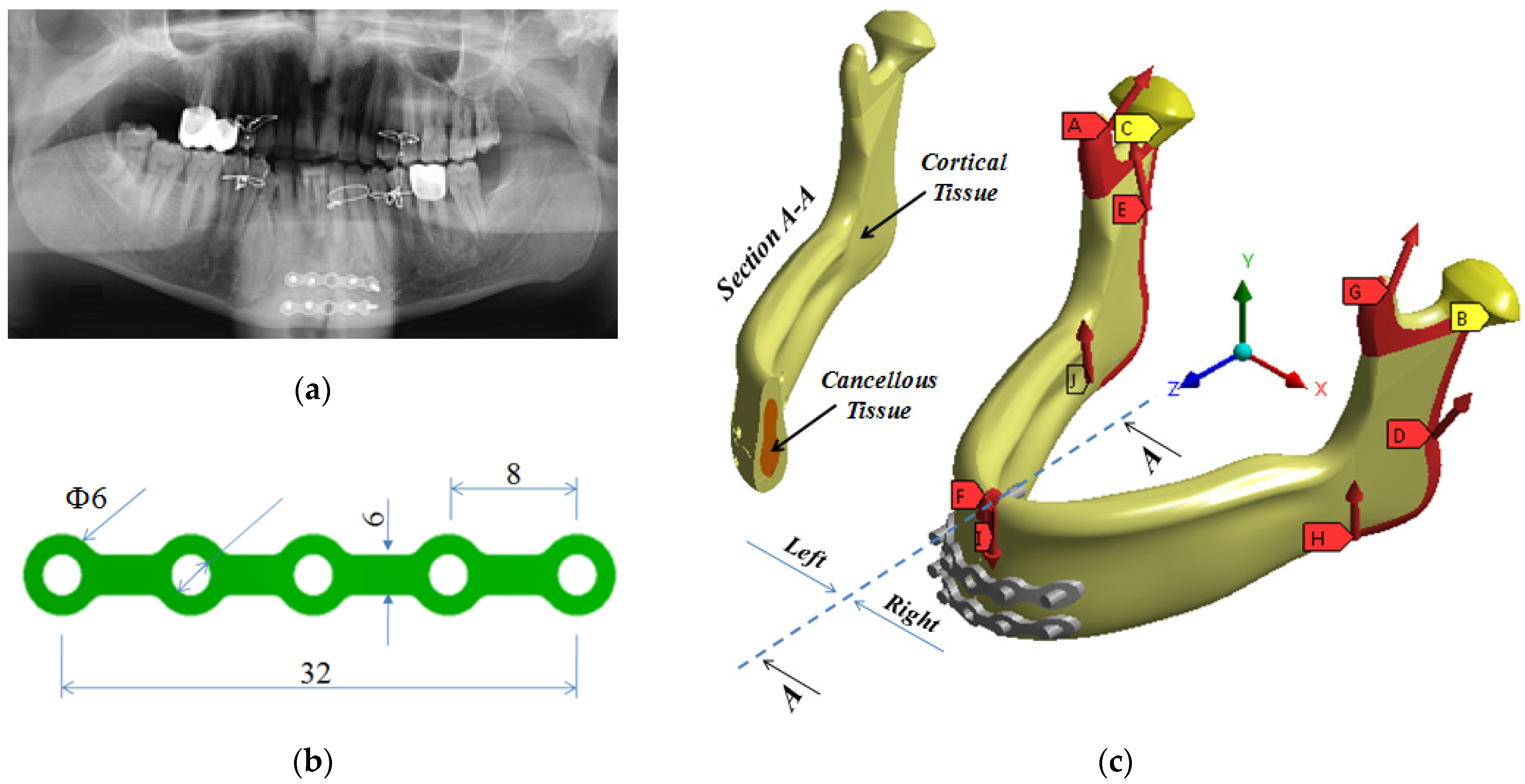 Applsci 13 12501 g001 Applsci 13 12501 g001