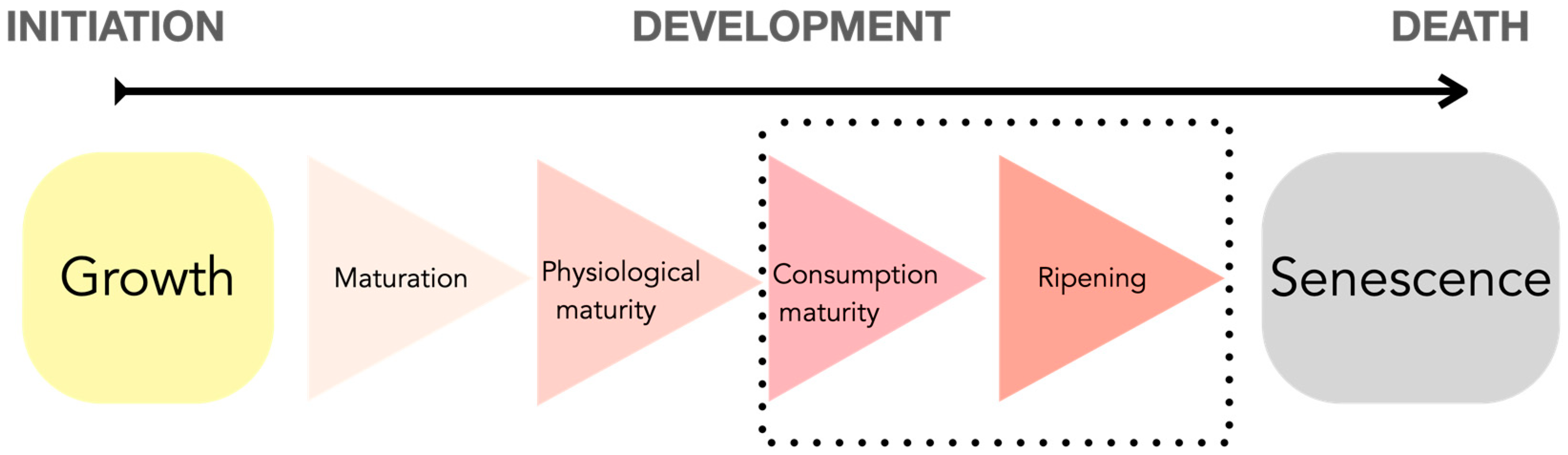 Applsci 13 12504 g001
