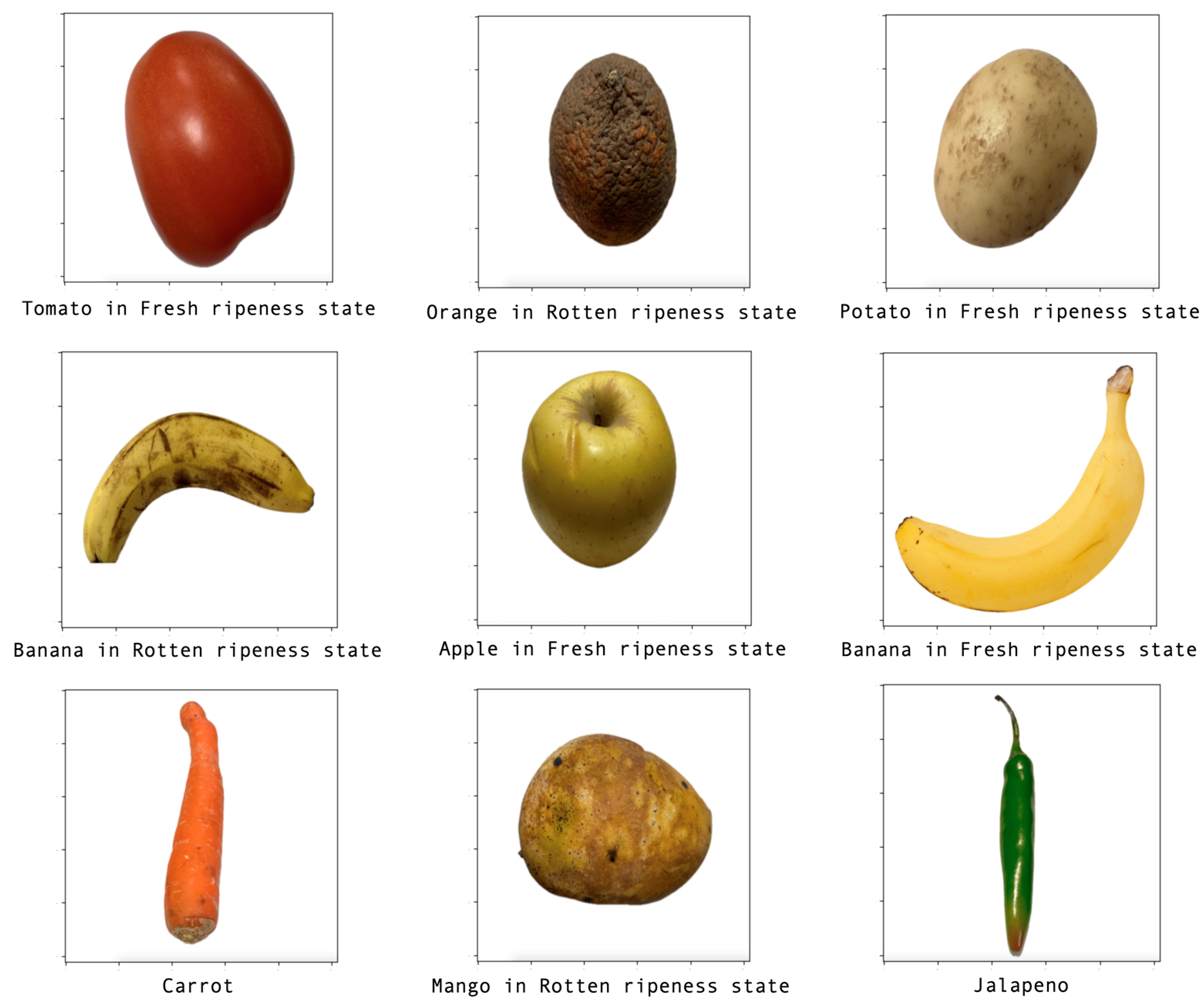 Applsci 13 12504 g008