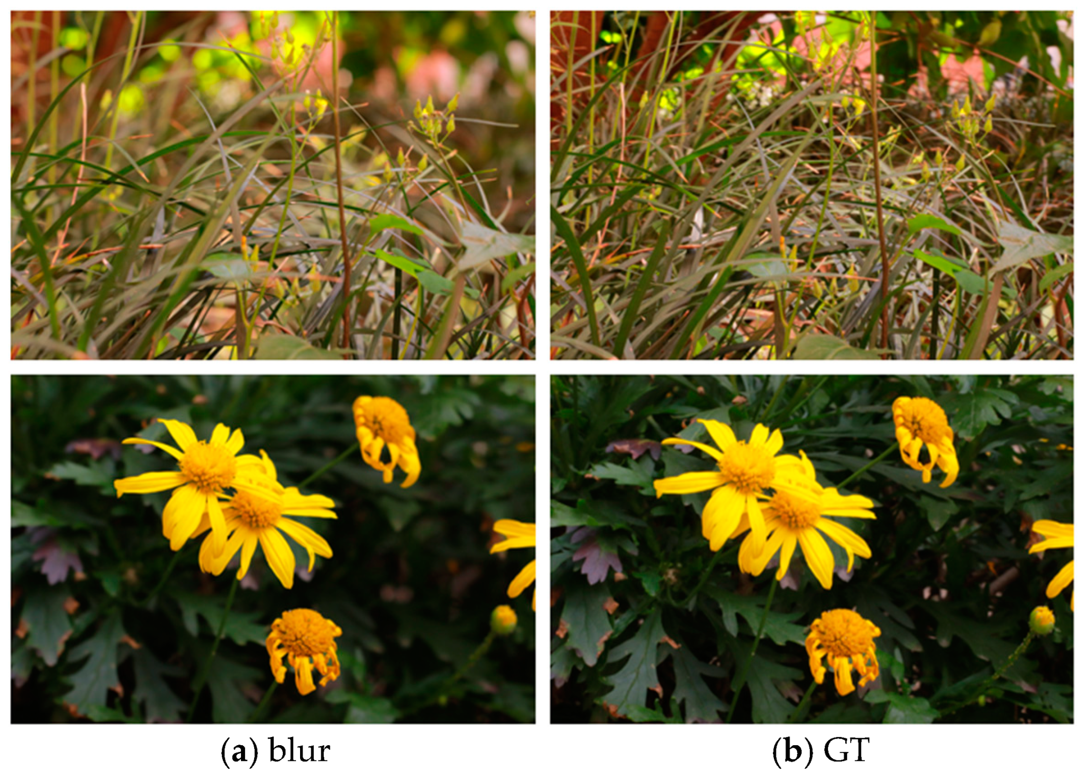 Applsci 13 12513 g006