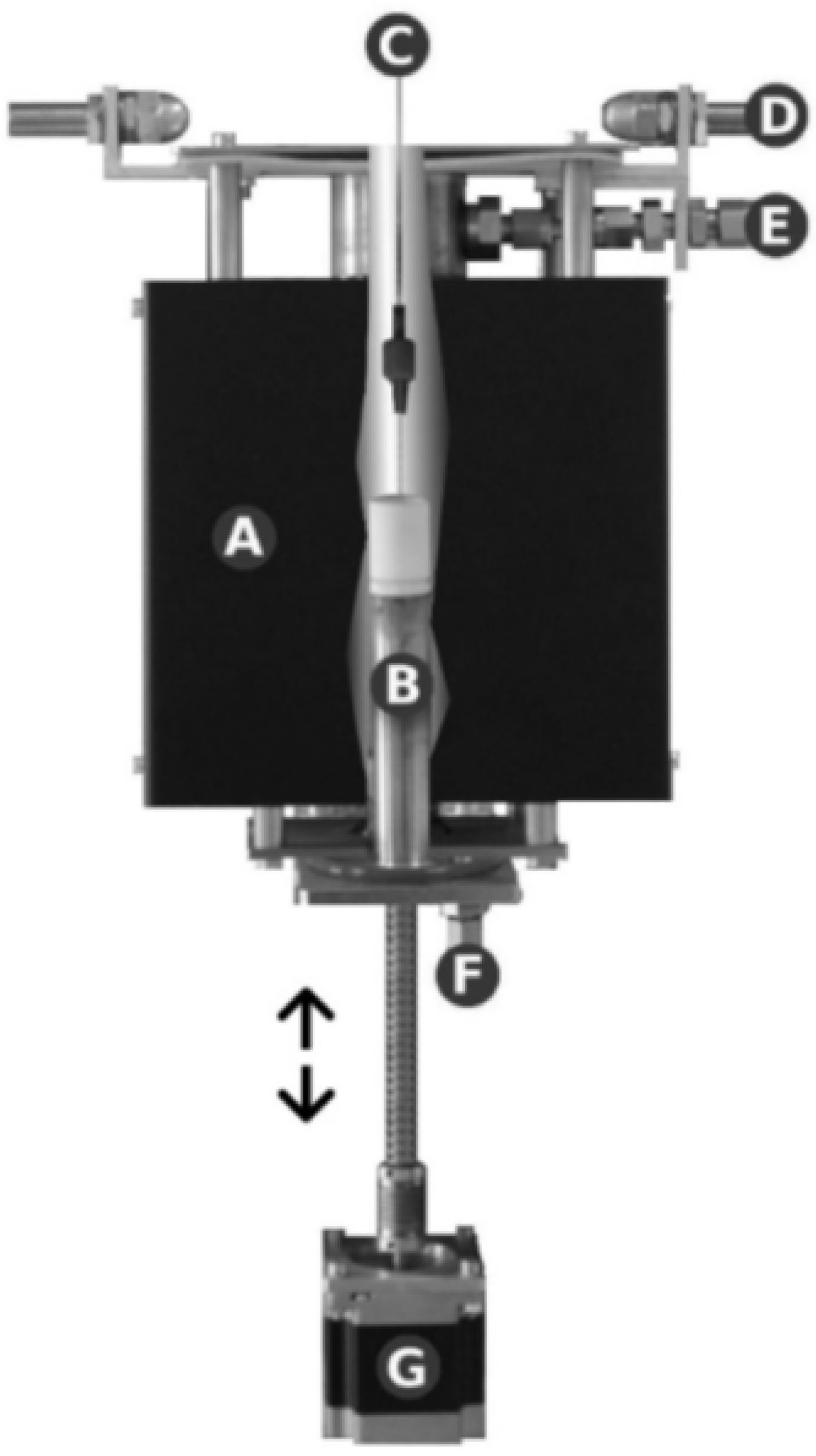 Applsci 13 12542 g004