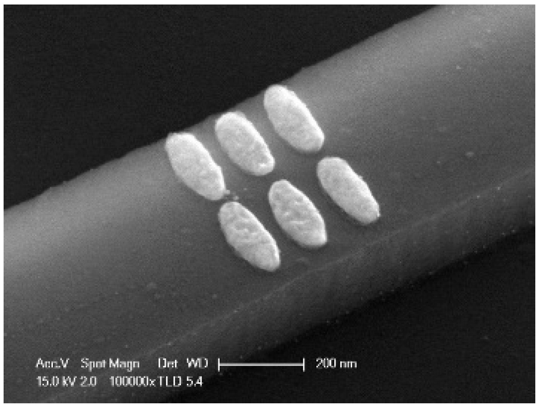 Applsci 13 12551 g010