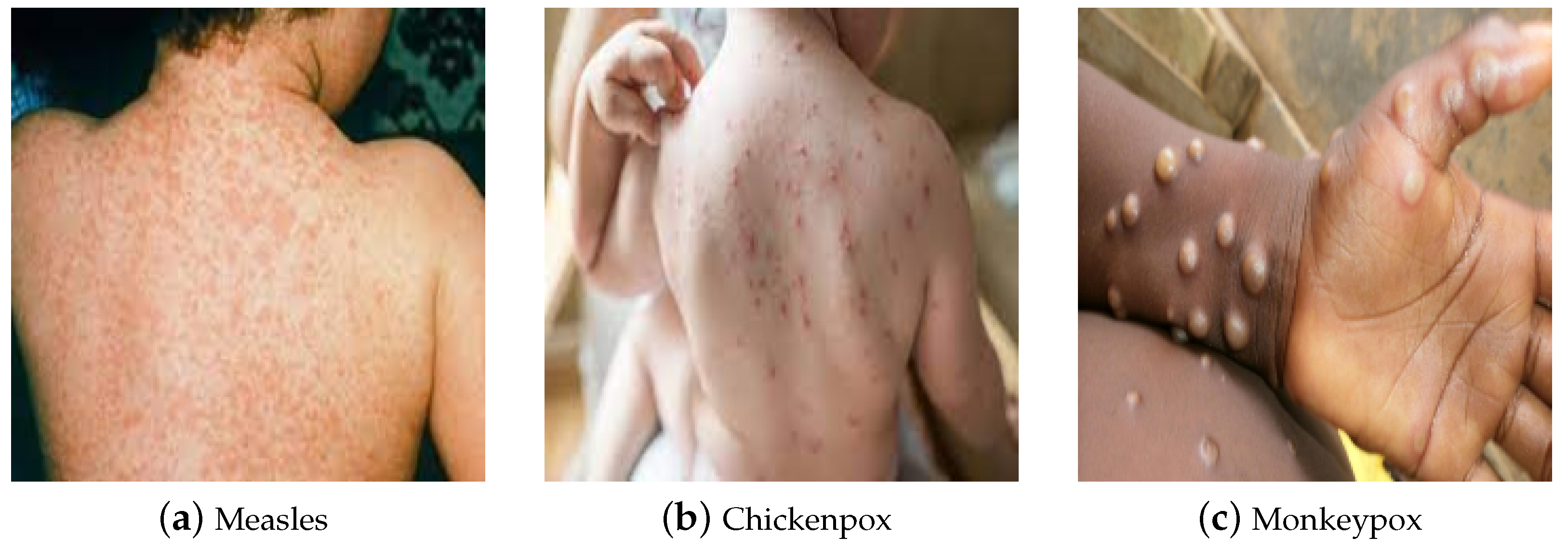 Applsci 13 12589 g001