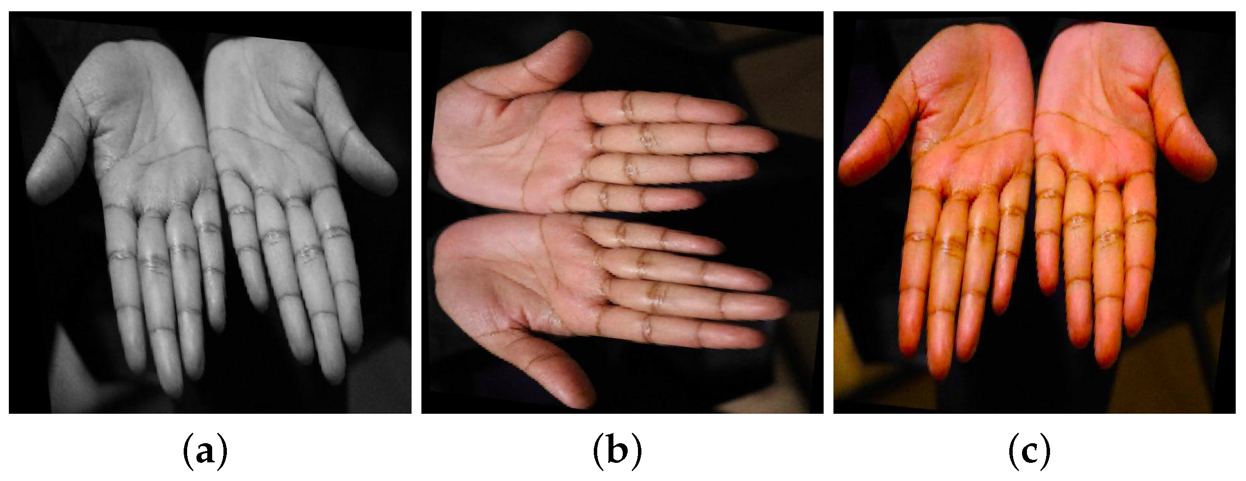 Applsci 13 12589 g005