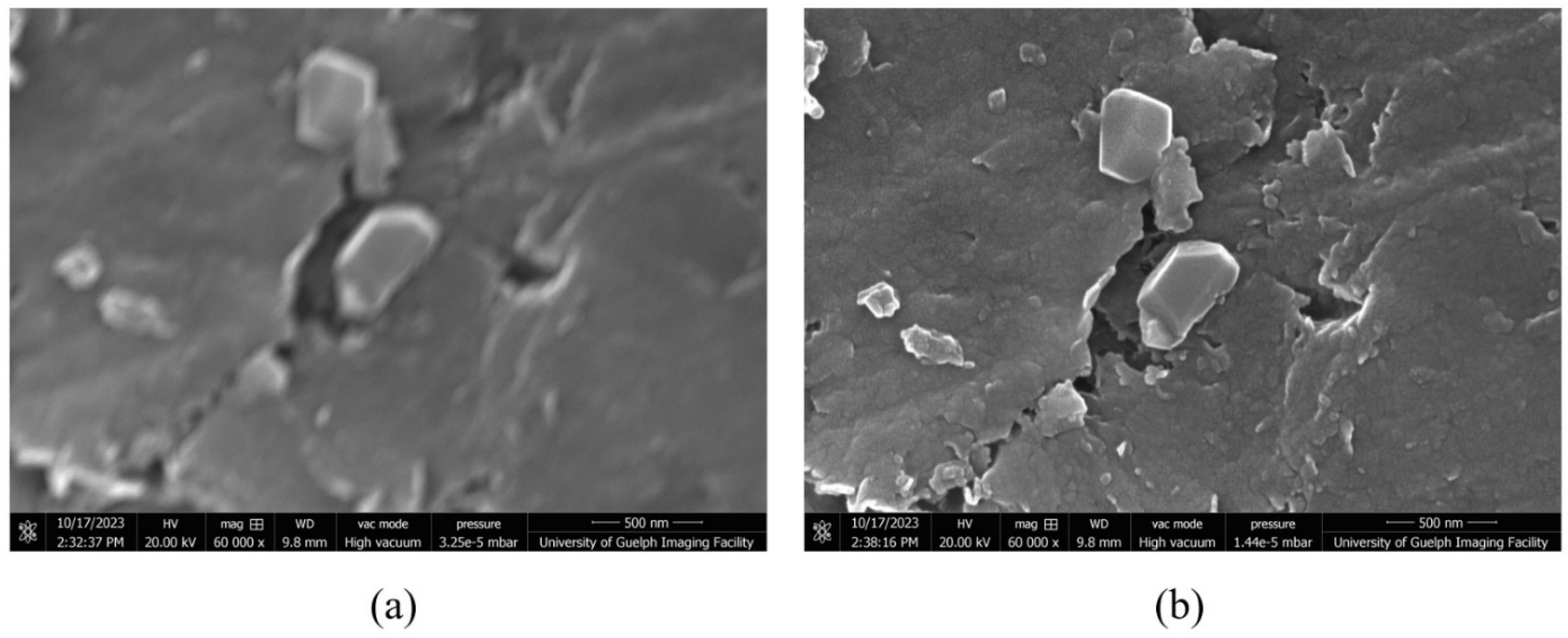 Applsci 13 12600 g013