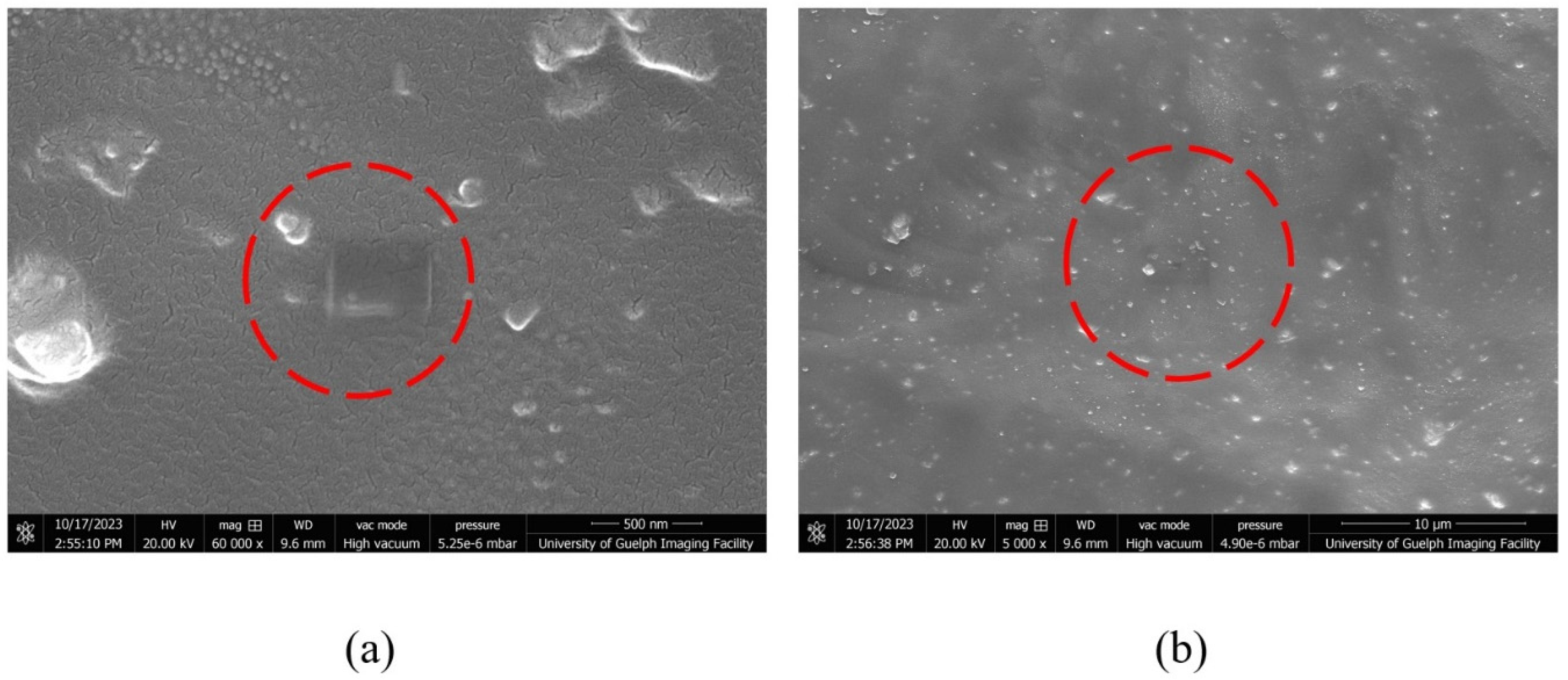 Applsci 13 12600 g014