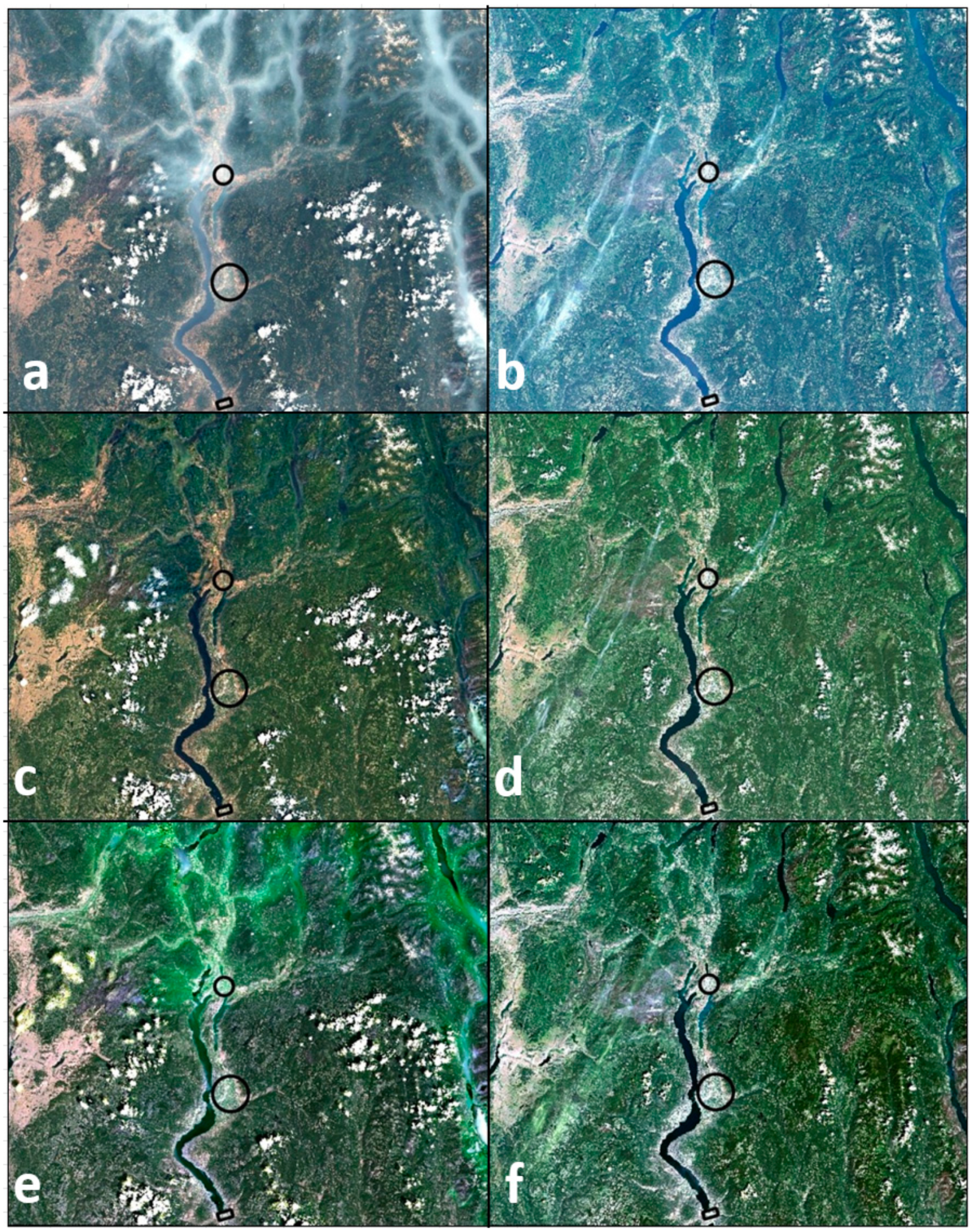 Applsci 13 12604 g005