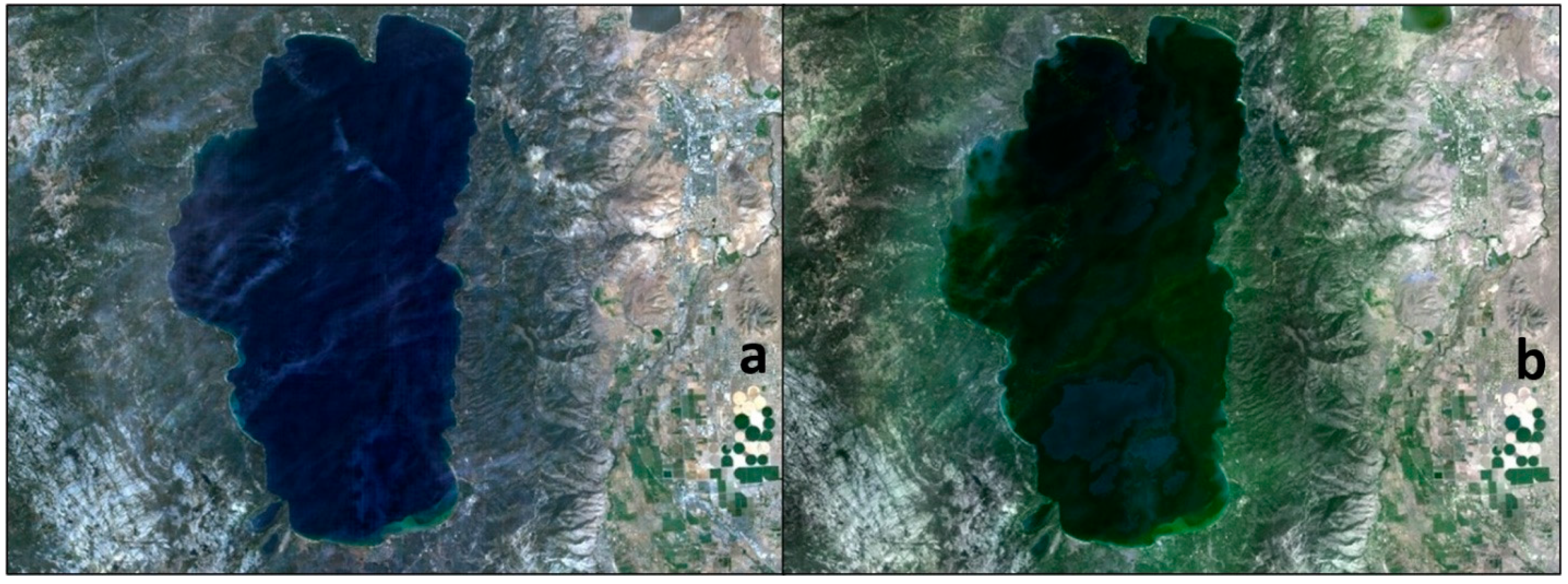 Applsci 13 12604 g008