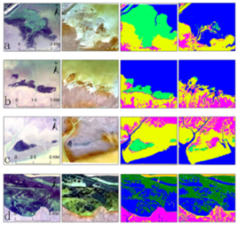 Applsci 13 12614 i011