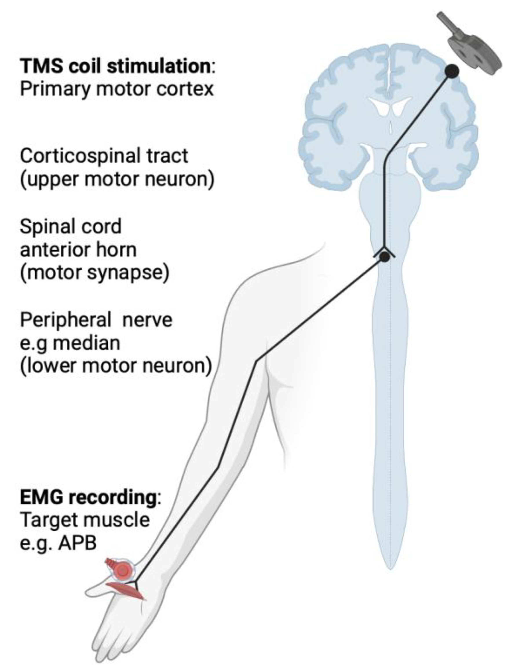 Applsci 13 12679 g001 Applsci 13 12679 g001