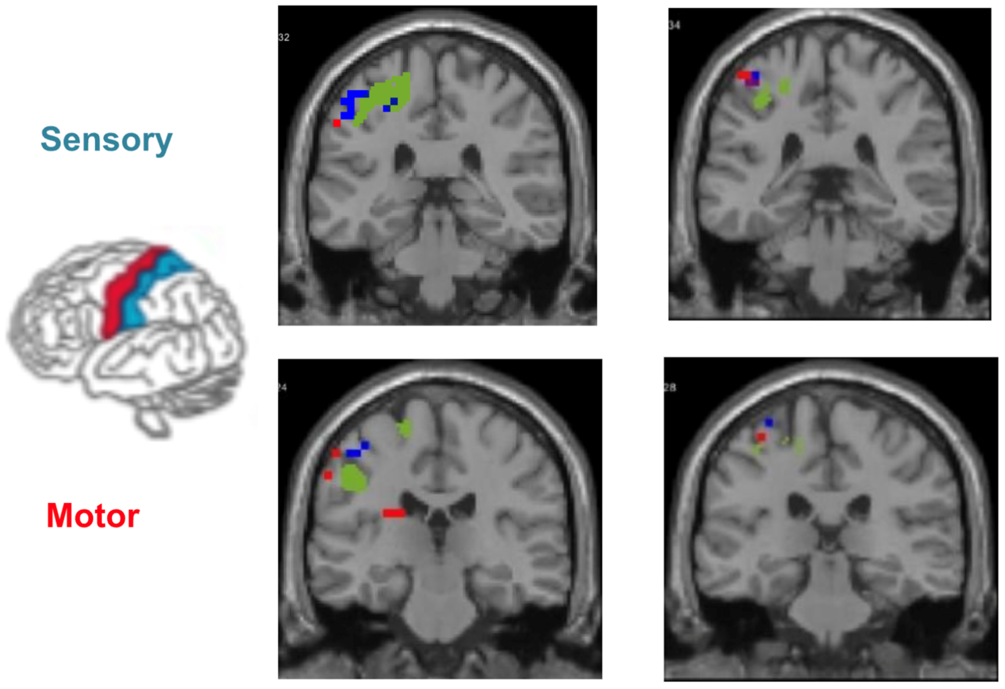 Applsci 13 12686 g005